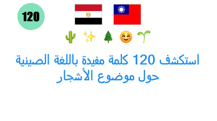 استكشف 120 كلمة مفيدة باللغة الصينية حول موضوع الأشجار